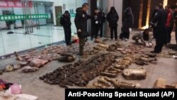 In this Jan. 9, 2020, photo provided by the Anti-Poaching Special Squad, police look at items seized from store suspected of trafficking wildlife in Guangde city in central China's Anhui Province.
