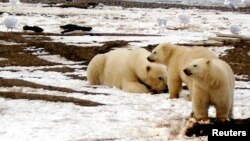 FILE - The year 2015 has been the region's warmest on record, in the Arctic and across the globe.