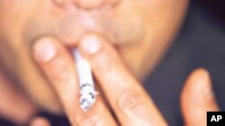 Cancer Experts Meet to Head Off Rise in African Tobacco Use