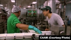 Gary Chiu of Banyan Foods works in the family business, the oldest tofu factory in Houston, founded in 1978.