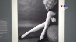 "Դիտրիխը հագնված է լուսանկարների համար" ցուցահանդեսը