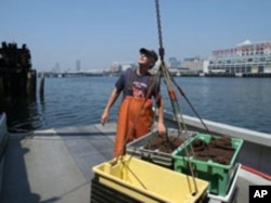 After a long day, Skip Ryan prepares to take his lobster catch to a buyer.