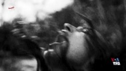 اکران - نمایش فیلم‌های کوتاه «سوپرفول»، «سکوت» و «ملودی سیب»