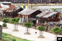 Shacks on the perimeter of the museum....Red Location is named after the red shacks, which locals make from rusted corrugated iron