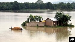Desa Morigaon di negara bagian Assam, India utara terendam banjir (18/8).