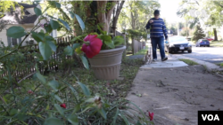 Heather Rice, who runs her own dog-walking firm in Northern Virginia, takes a furry client for a stroll. 