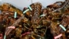 Lobster Biz Braces for Chinese New Year Impacted by Pandemic 