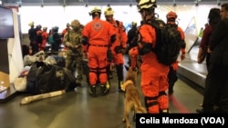 A group of 32 rescuers from Panama arrived with two canine rescuers to help find people trapped in collapsed buildings and dig them out. They arrived at the Benito Juárez International Airport in Mexico City, Sept. 20, 2017.