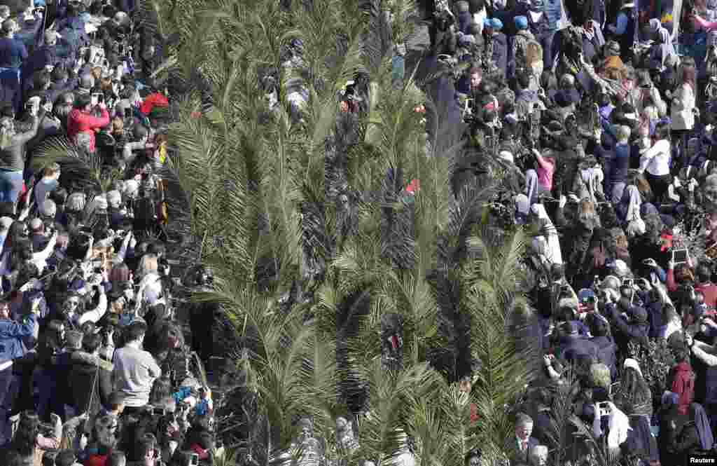 Members of the clergy holds palm branches at the start of the Palm Sunday mass led by Pope Francis at Saint Peter&#39;s Square at the Vatican.