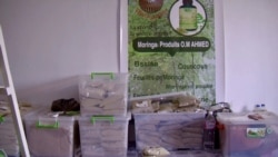 Moringa products made by Samira Sghaier and other local farmers are seen on display. They're having a hard time marketing them. (Lisa Bryant/VOA)