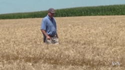 US Farmers Brace for Long Term Impact of Escalating Trade War