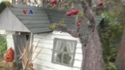 Penjualan Kostum Capres sebagai Indikator Pemenang Pilpres