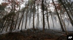 A wildfire smolders after burning a hillside, Nov. 15, 2016, in Clayton, Georgia.