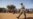 Rights Group: Mali Islamists Using Child Soldiers