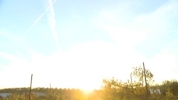 Small Businesses Say Candidates Sometimes Overlook Them