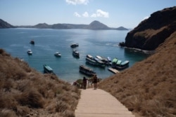 Sejumlah wisatawan turun dari perahu untuk melihat langsung Komodo. (Foto: Humas Kemenpar)