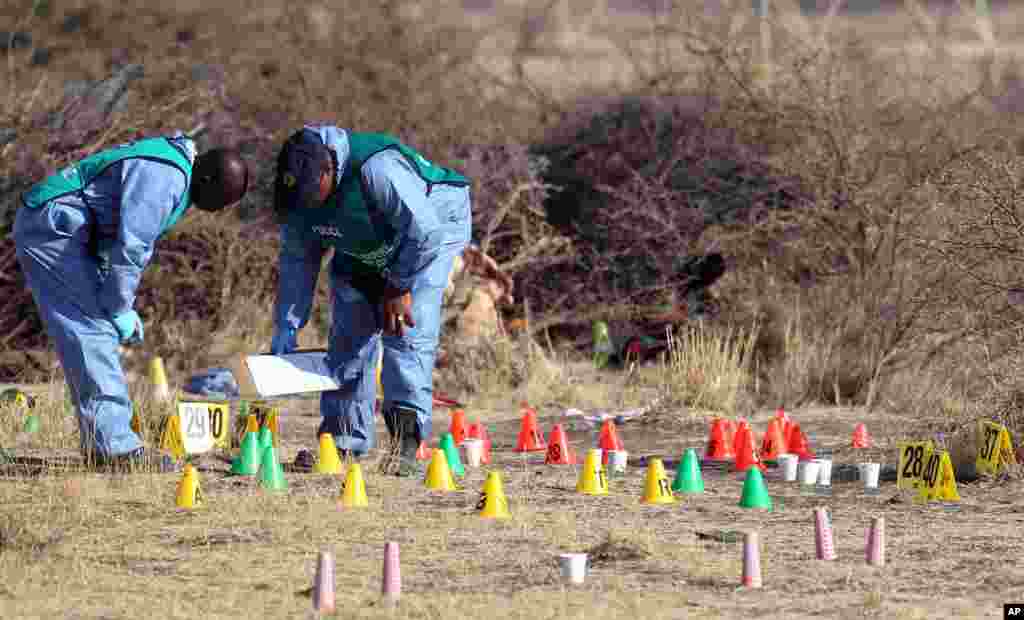 Members of a South African police crime unit investigate the scene of the shooting of miners at the Lonmin mine near Rustenburg, South Africa, August 17, 2012. 