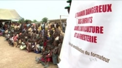 Ivory Coast Fights Child Labor on Cocoa Plantations