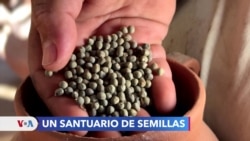 El santuario que asegura la cosecha a las comunidades de Suchitoto en El Salvador