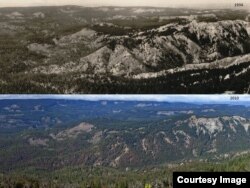 Mission Peak Comparison 1934 (top) and 2010 (bottom).