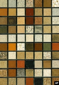 The beauty and variety of sand is visible in this array from South Africa, arranged by the artist Loes Modderman.