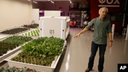In this Thursday, Sept. 27, 2018, photo Iron Ox CEO Brandon Alexander gives a tour at his robotic indoor farm in San Carlos, Calif. (AP Photo/Eric Risberg)
