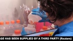 Seorang ilmuwan bekerja di laboratorium penelitian vaksin Covid-19 di Universitas Oxford, Inggris (foto: dok). 