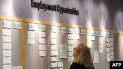 Cô Lori Kamlet xem danh sách các nơi thuê mướn người tại văn phòng tuyển dụng Denver, 22/7/2011