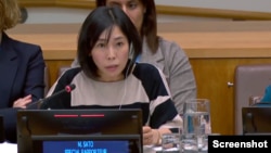 مای ساتو، گزارش‌گر ویژه سازمان ملل متحد در زمینه وضعیت حقوق بشر ایران