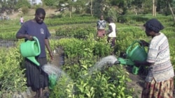 Des opportunités de développement pour des PME malgaches et des entrepreneures africaines 