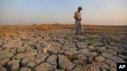 FILE - A fisherman walks across a dry patch of land in the marshes in Dhi Qar province, Iraq on September 2, 2022. (AP Photo/Anmar Khalil, File)