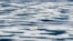 FILE - In this Saturday, July 22, 2017, file photo, a polar bear stands on the ice in the Franklin Strait in the Canadian Arctic Archipelago. The U.N.’s climate chief Patricia Espinosa says deadlines set by some of the world's top polluters to end…