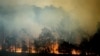 Australian Bushfire Probe to Examine Role of Climate Change