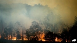 FILE - A bushfire burns in Bodalla, New South Wales, Australia, Jan. 25, 2020. Wildfires destroyed more than 3,000 homes and razed more than 10.6 million hectares (26 million acres) since September.