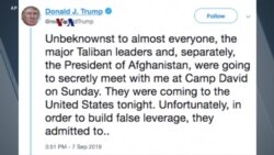 Pembatalan Pertemuan AS-Taliban Jelang Peringatan Serangan 11 September