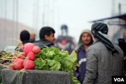 Locals in this market say families are still fleeing mortar fire, but extreme poverty has become equally as dangerous in Mosul, Iraq, Jan. 27, 2017. (H. Murdock/VOA)
