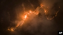 Trees burn as flames and smoke engulf an area in Santa Juana, Chile, Feb. 6, 2023.