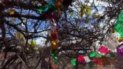 Los Ancelesin doğulduğu küçə