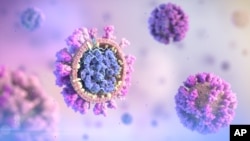 ภาพจำลองสามมิติของเชื้อโคโรนาไวรัสที่เป็นสาเหตุของ COVID-19 