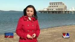 AQShda farzand boqib olgan o'zbekistonlik ona bilan suhbat- Boston, Massachussetts shtati