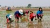IFRC: Poor N. Korean Harvest Raises Hunger, Malnutrition, Disease Threat