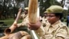 NGOs Partner to End Elephant Poaching