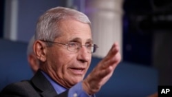 Dr. Anthony Fauci, director of the National Institute of Allergy and Infectious Diseases, speaks about the coronavirus in the James Brady Press Briefing Room at the White House, April 13, 2020, in Washington.