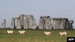 Sheep graze as security guards patrol the prehistoric monument at Stonehenge in southern England, on April 26, 2020, closed during the national lockdown due to the novel coronavirus COVID-19 pandemic. (Adrian DENNIS / AFP)