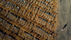 Graves in the Nossa Senhora Aparecida cemetery in Manaus, on June 21, 2020.
