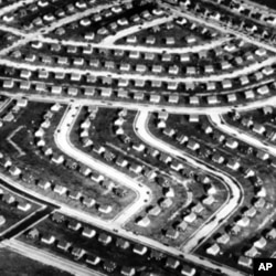 1948年莱维顿的部分社区