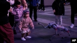 A child reacts to an Unitree Go2 intelligent side-follow robot during a performance at a popular shopping district in Beijing, Nov. 17, 2024.