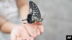 Илустрација: 28-ми февруари, Светски ден на ретките болести