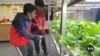 New York City children learn gardening to build healthier habits