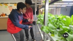 New York City children learn gardening to build healthier habits